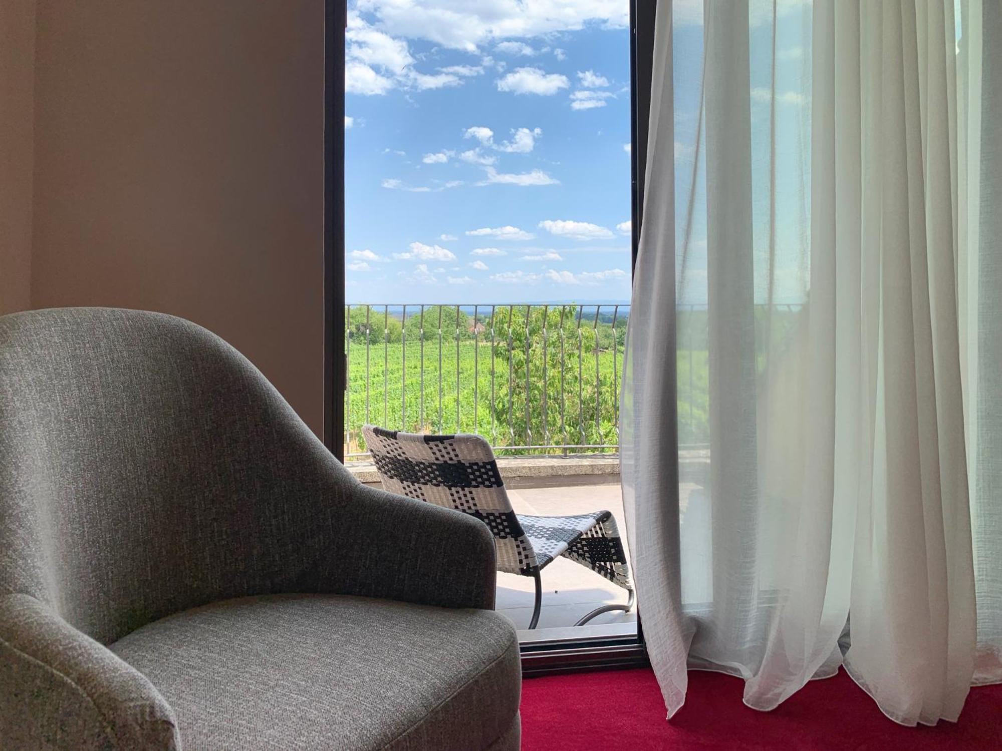 La Tour Des Fees-Spa Mittelbergheim Phòng bức ảnh