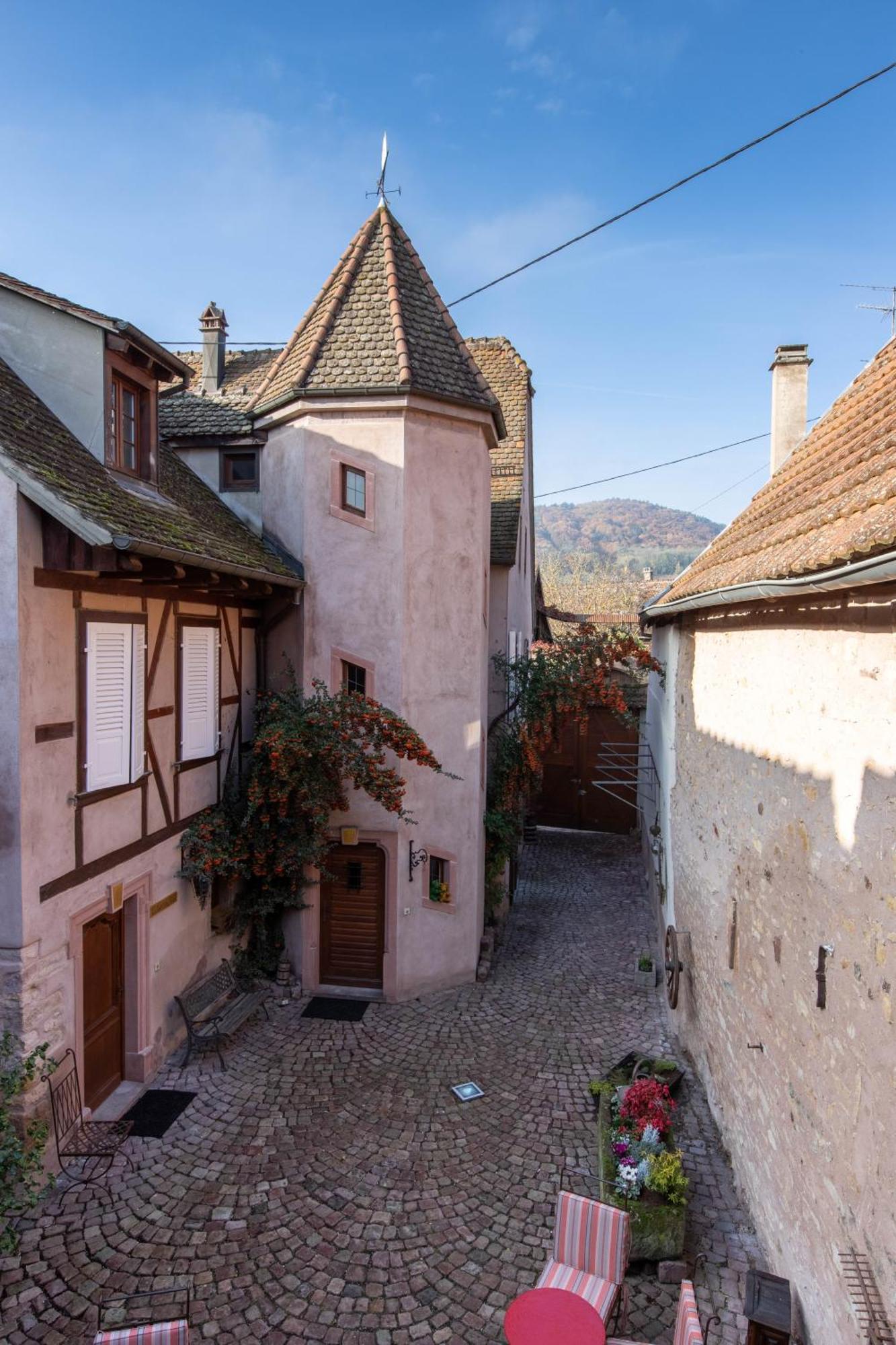 La Tour Des Fees-Spa Mittelbergheim Phòng bức ảnh